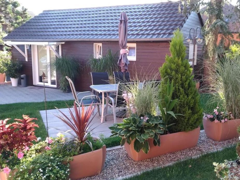 Gites Le P'Tit Paradis Du Ried Sundhouse 외부 사진